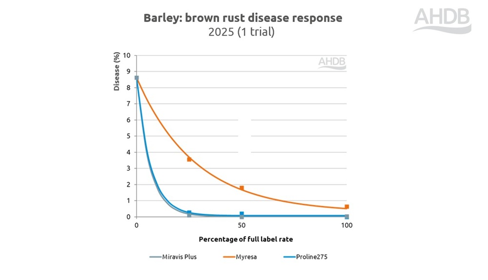 Barley brown rust disease response chart 2025.